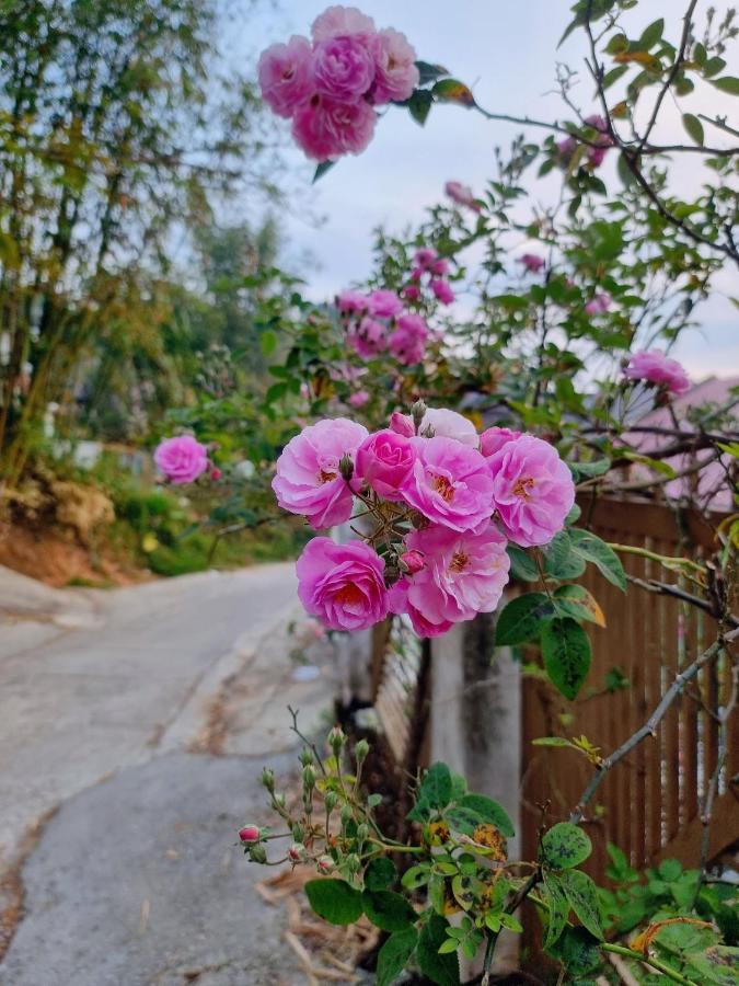 Bong Sen Hotel Dalat Bagian luar foto
